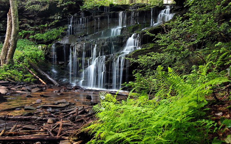 scenics - nature, tree, clinton, reservoir, long exposure, county, forest, united, states, beauty in nature, water, pennsylvania, no people, landscape