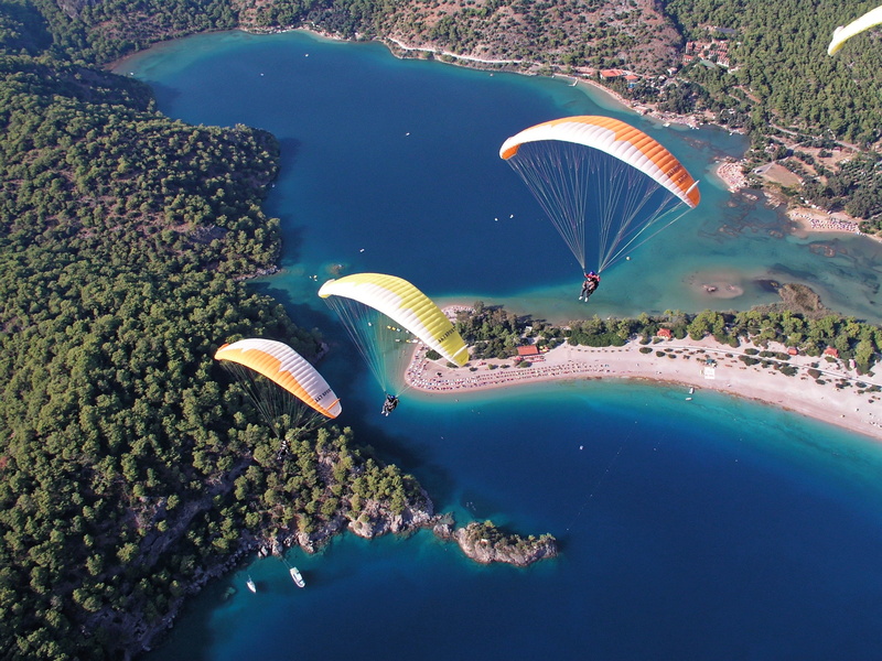 animals in the wild, sea life, sea, three, parachuting, adventure, animal themes, vacations, extreme, invertebrate, undersea, sunny, aerial view, sky, recreational Pursuit