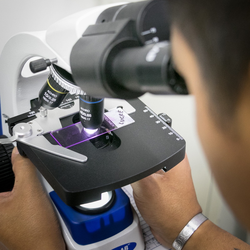 biology, examining, 2K, micrograph, staph, laboratory equipment, indoors, scientific experiment, real people, close-up, photomicrograph, holding, men