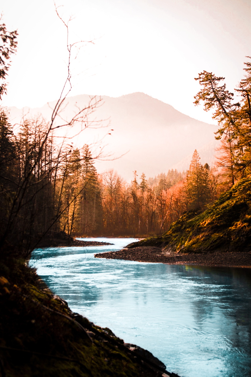 land, water, idyllic, lake, 5K, larch, scenery, foot, mountain loop highway, sunset, tranquil scene, creek, non-urban scene, foggy, around, day, stream