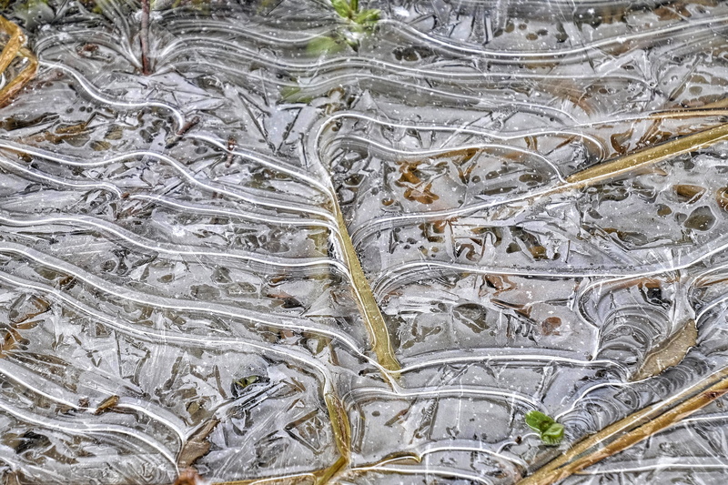 old, complexity, granite falls, mountain loop highway, 4K, united states, textured, abundance, day, design, plant, architecture, close-up, full frame