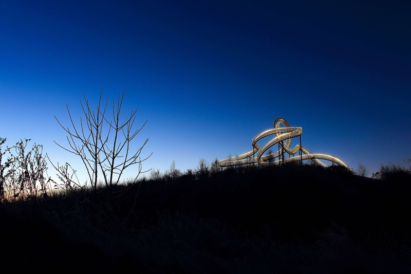 copy space, no people, night, 4K, animal, scenics - nature, animal themes, outdoors, animal wildlife, tiger and turtle, bare tree, stairs, plant, artwork