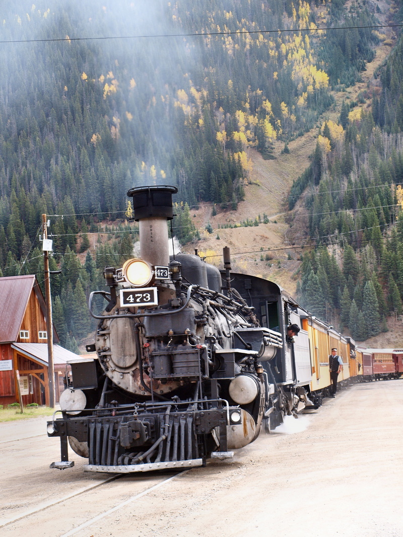 train, outdoors, steam locomotive, steam train, land vehicle, mode of transportation, plant, locomotive, day, government, nature, military, tree, armed forces