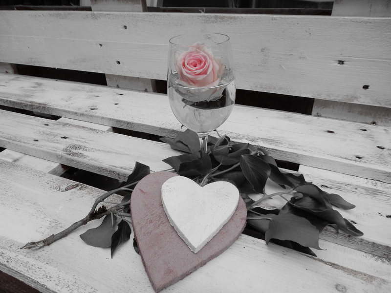 champagne glass, wood - Material, no people, emotion, blossom, plant, day, indoors, beauty in nature, long, heart Shape, rose bloom, pink rose, stem, outdoors