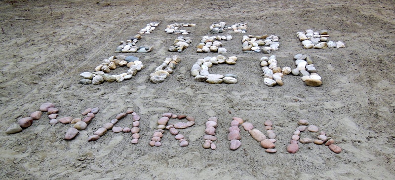 sand, bone, inn, nature, land, mühldorf am inn, animal themes, outdoors, high angle view, animal wildlife, stones, solid, 2K, day, animals in the wild