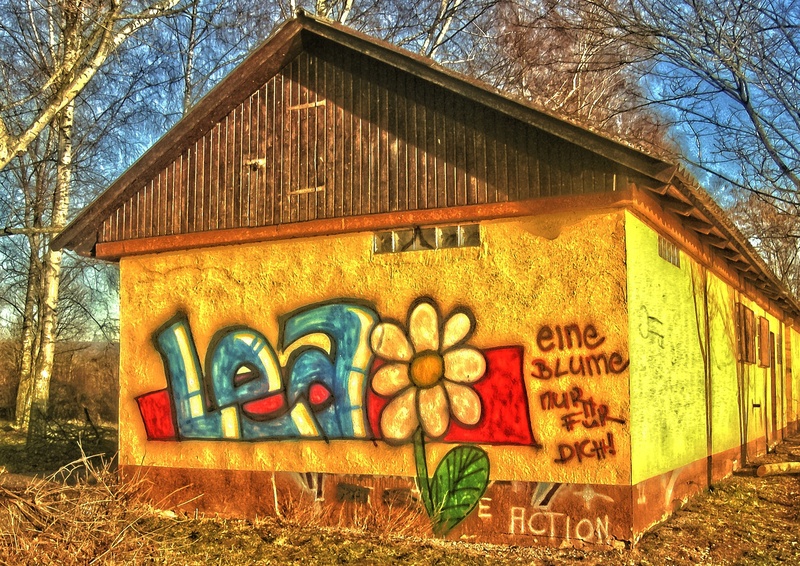 bare tree, graffiti, outdoors, facade paint, building exterior, text, western script, declaration of love, no people, communication, multi colored, plant