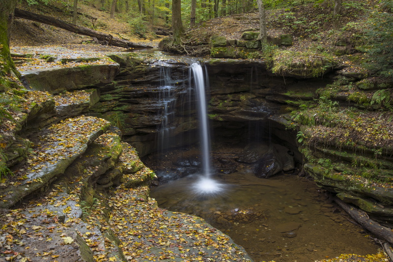 motion, scenics - nature, day, flowing water, nature, water, rock formation, rainforest, united states, plant, flowing, rock, no people, land, tree, outdoors
