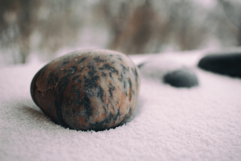 day, buffalo, focus on foreground, still life, woods, no people, rock, nature, cold temperature, indoors, tree, healthy eating, united states, winter, bokeh