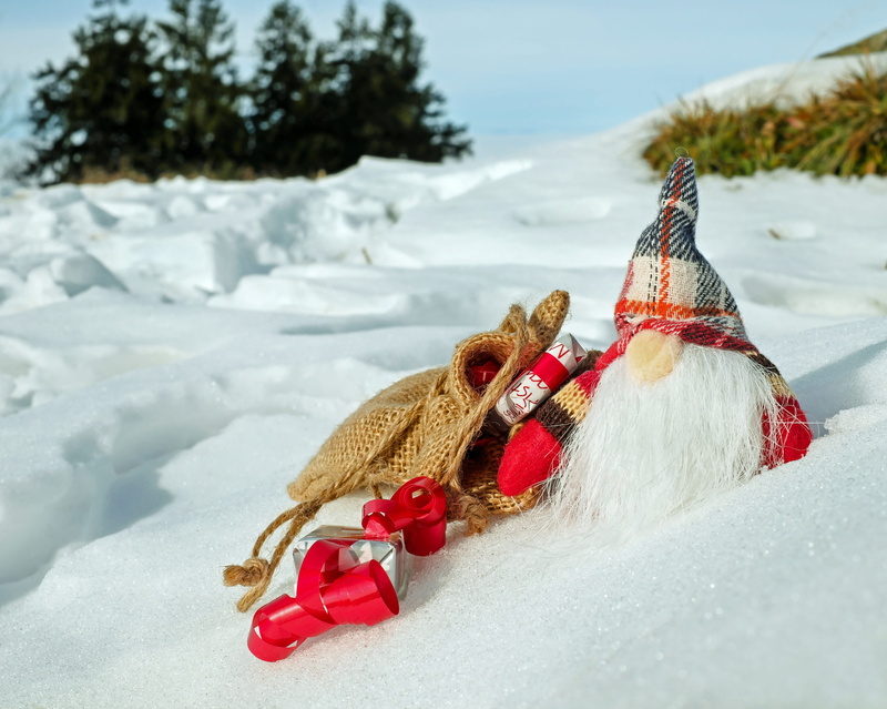 figure, plush, packed, cute, hat, nature, white color, snow, no people, christmas time, tree, day, toy, santa claus, frozen, cold temperature, 4K, christmas greeting