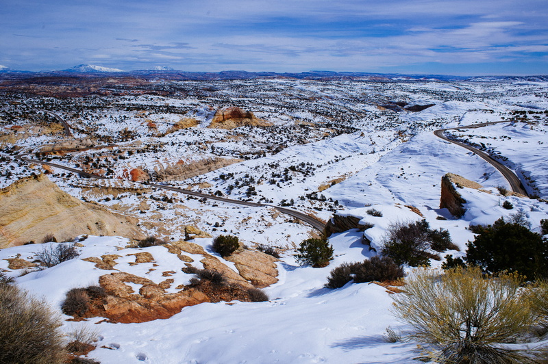 ground, bird, cold temperature, plateau, winter, wilderness, slickrock, non-urban scene, cloud - sky, scenics - nature, daytime, scenery, landscape, plant
