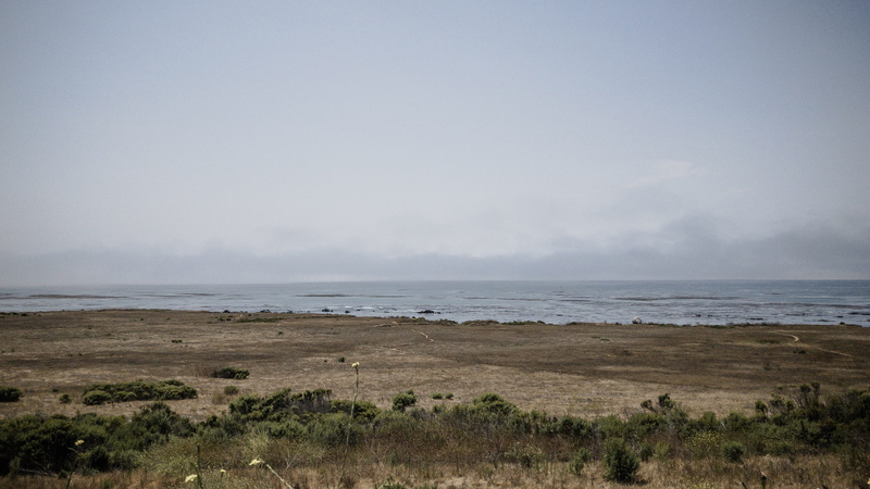 sea, cayucos, grass, landscape, tranquility, environment, cabrillo hwy, no people, ocean, united states, water, 4K, marram grass, nature, beauty in nature