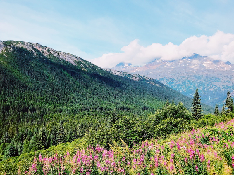 environment, wilderness, alaska, beauty in nature, scenics - nature, mountain range, no people, tranquil scene, skagway, outdoors, landscape, klondike hwy