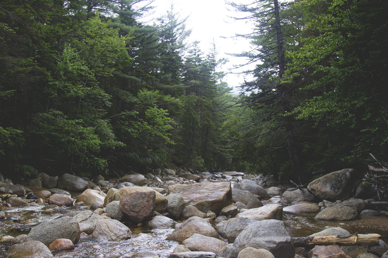 conway, trees, day, stream, water, flowing, rocks, plant, rock, tree, no people, growth, flowing water, adventure, scenics - nature, non-urban scene, land
