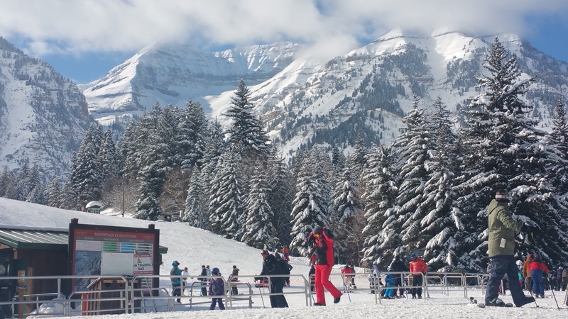 winter sport, skiing, adult, Sundance, men, skiiers, cold temperature, tree, day, beauty in nature, snowcapped mountain, ice, incidental people, Winter