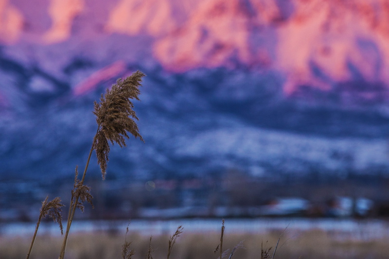 scenics - nature, tree, nature, sunset, united states, 4K, cloud - sky, landscape, beauty in nature, day, growth, sky, plant, tranquility, mountain, non-urban scene