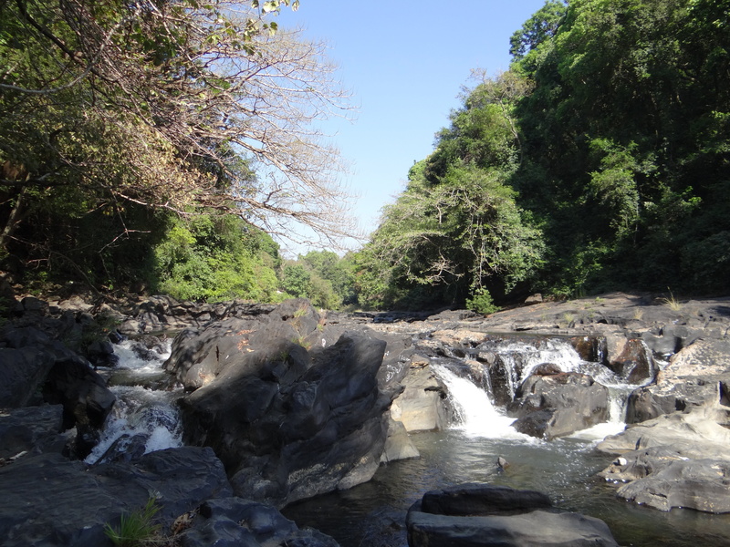scenics - nature, mandovi, forests, outdoors, thick, tranquility, rocks, rock, rocky, growth, plant, karnataka, non-urban scene, water, forest, western ghats