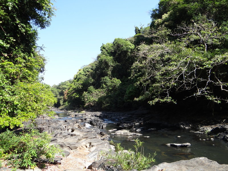 rocky, stream - flowing water, thick, boulders, mandovi, tranquil scene, picturesque, belgaum, plant, vegetation, sky, tree, flowing, flowing water, day