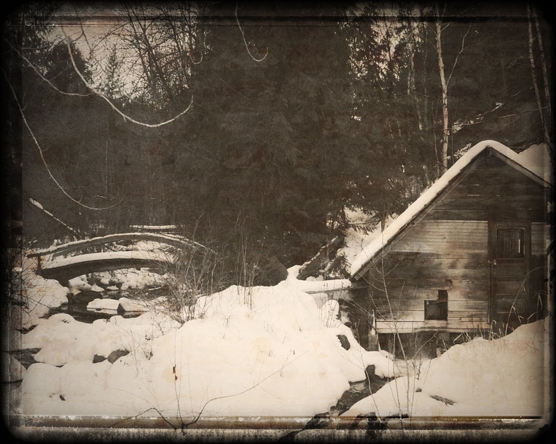 building, ice, demolished, decline, no people, damaged, winter, british columbia, snow, cariboo, textured, old mill, tree, scenery, architecture, deterioration