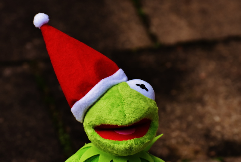 stuffed animal, art and craft, santa Claus, christmas, fun, santa hat, hat, day, 5K, children toys, kermit, christmas time, creativity, red, single object