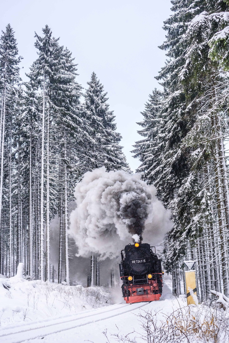 mountain, black, train - vehicle, wood, fir, trees, 5K, smoke - physical structure, cold temperature, land, blizzard, covering, nature, track, sky, plant