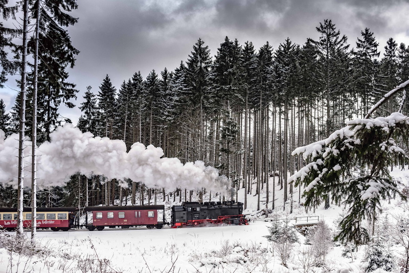 steam train, plant, tree, snow, train - vehicle, mode of transportation, 5K, winter, wintry, full steam, cold temperature, smoke - physical structure