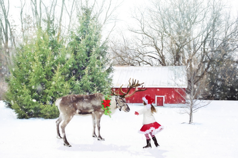 santa girl, winter, one person, outdoors, nature, red, cold temperature, girl, little girl, santa, extreme weather, real people, innocence, plant, reindeer