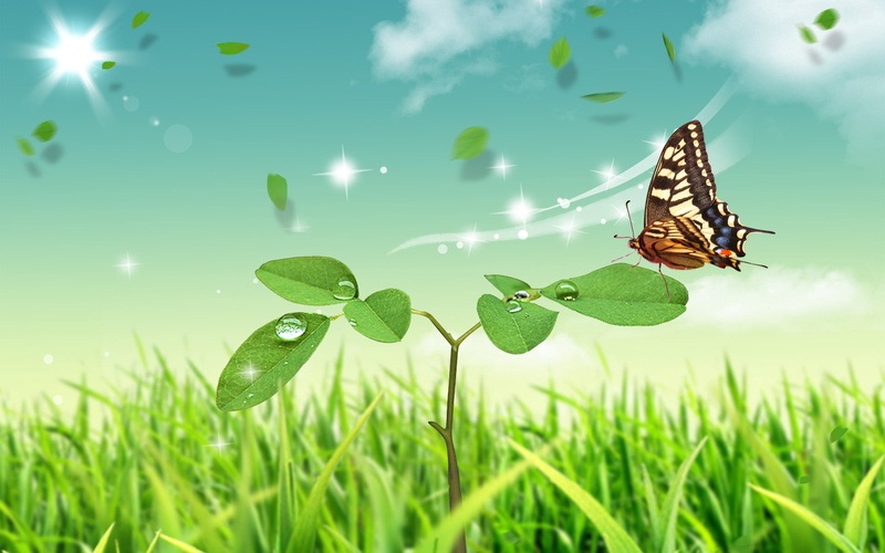 beauty In Nature, butterfly, backgrounds, invertebrate, meadow, grass, outdoors, white, plant part, environment, season, stem, animal wing, animal themes