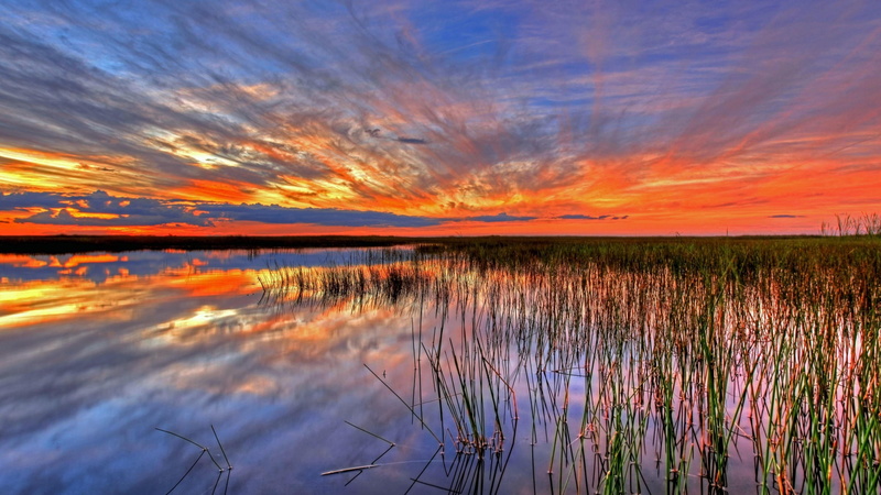 usa, orange color, plant, reflection, reflected, beauty in nature, nature, tranquil scene, lake, no people, tranquility, sunset, 4K, outdoors, land, water