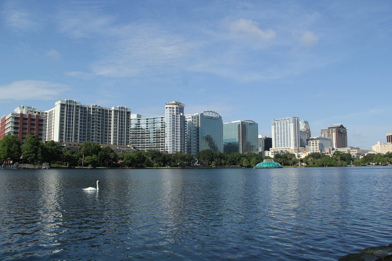 Swan, Water, florida, Eola, urban skyline, landscape, cityscape, sky, day, 1080P, Orlando, office, famous, skyscraper, building exterior, outdoors, architecture