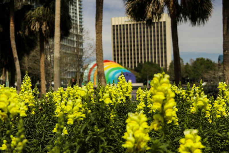 beautiful, orlando, built structure, agriculture, rainbow, outdoors, lake eola, tree, flower, growth, yellow, united states, no people, amphitheater, day