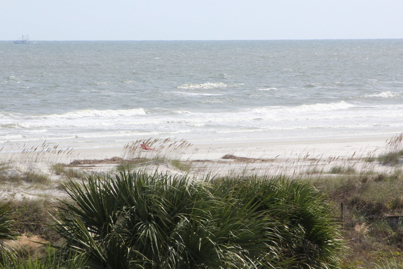 nature, landscape, marram grass, 5K, plant, vacation, st augustine, grass, waves, sky, motion, no people, tranquil scene, tranquility, ocean, coast, tourism