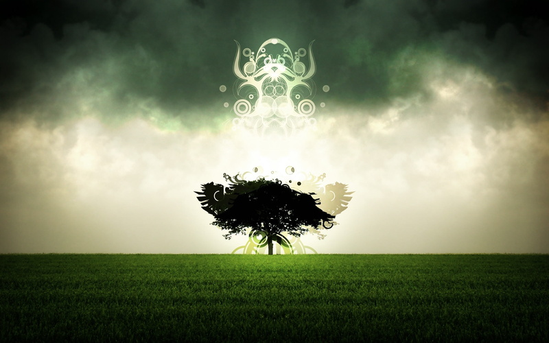  silhouette, 2K, tree, tuesday