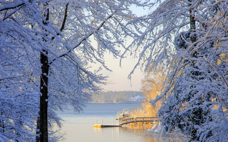 lake, 1080P, winter, download, south, snow, carolina, lakes, trees