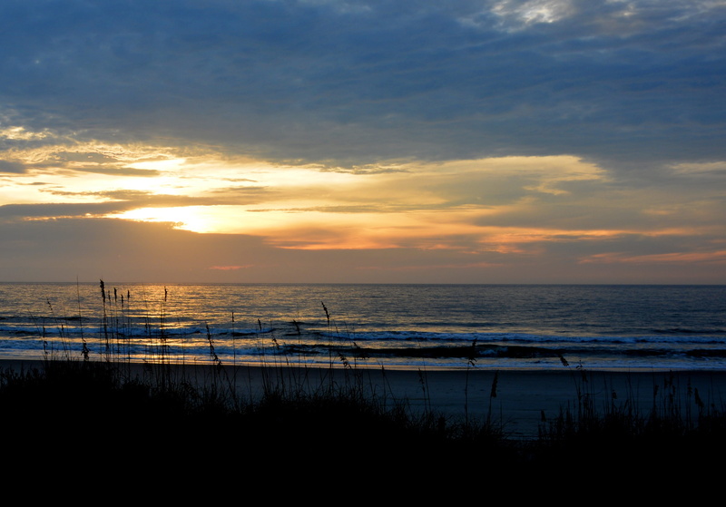 reeds, south carolina, nature, land, 2K, tranquil scene, scenics - nature, sea, South Carolina, tranquility, silhouette, sky, myrtle, evening, Sunset