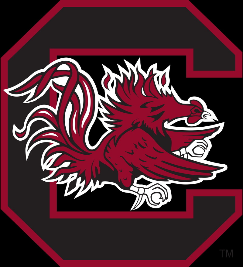 college, carolina, 1080P, football, south, gamecocks