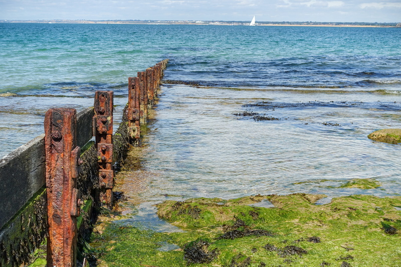 day, 5K, old, beauty in nature, tranquility, grass, horizon, united kingdom, no people, outdoors, seashore, vacation, wood - material, isle of wight, horizon over water