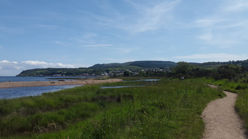 Isle Of Arran, tree, sand, bay, happy, sunny, tranquility, sky, blue, scenics - nature, summer, beauty in nature, landscape, nature, holiday, vacation