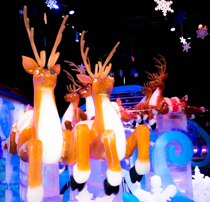 traditional, zing, animal wildlife, ice, animal representation, indoors, showcase, animal, art and craft, ice exhibit, 4K, creative, multi colored, statue