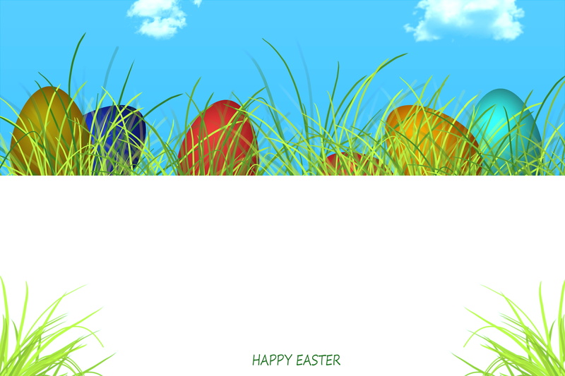 festive, beach, romantic, blade of grass, plant, grass, egg, growth, business, trip, 5K, flora, card, space, table, day, tradition, place, hayfield, decoration