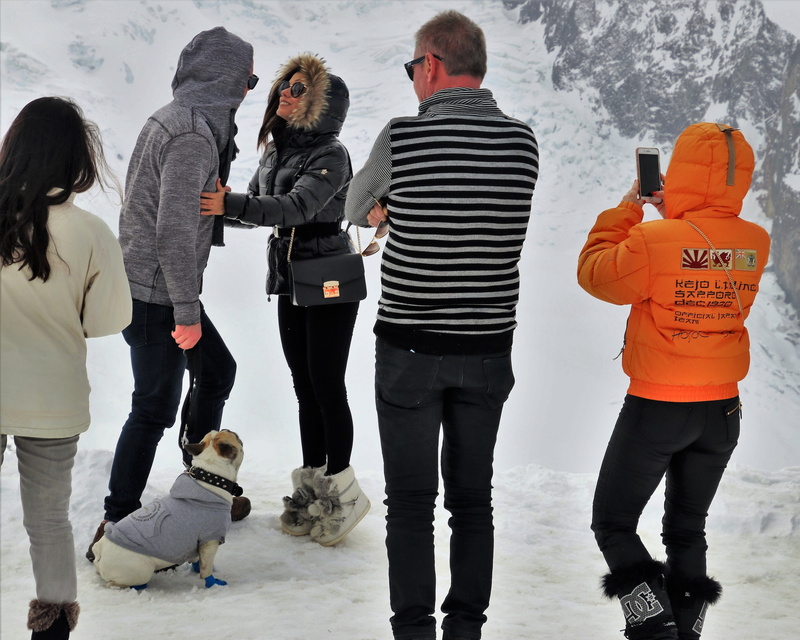 fun, standing, tops, leisure activity, nature, action, day, hood, jacket, teenager, phone, men, warm clothing, colorful, strips, total, love, dog, leisure