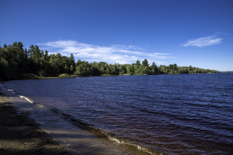 scenics, bodies Of Water, river, state, riper, scenics - nature, 5K, no People, tree, Waves, land, lake, landscape, non-urban scene, plant, Van Riper State Park