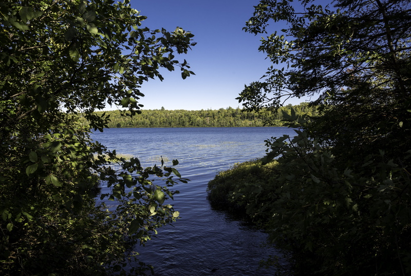 United States, landscape, plant, summer, scenics, trees, nature, public domain, reflection, forest, branch, Lake Michigamme, no People, tree, water, photos