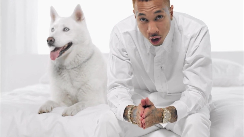 white color, one animal, looking at camera, domestic, chris brown images background, clothing, lab coat, domestic animals, front view, canine, dog, 1080P