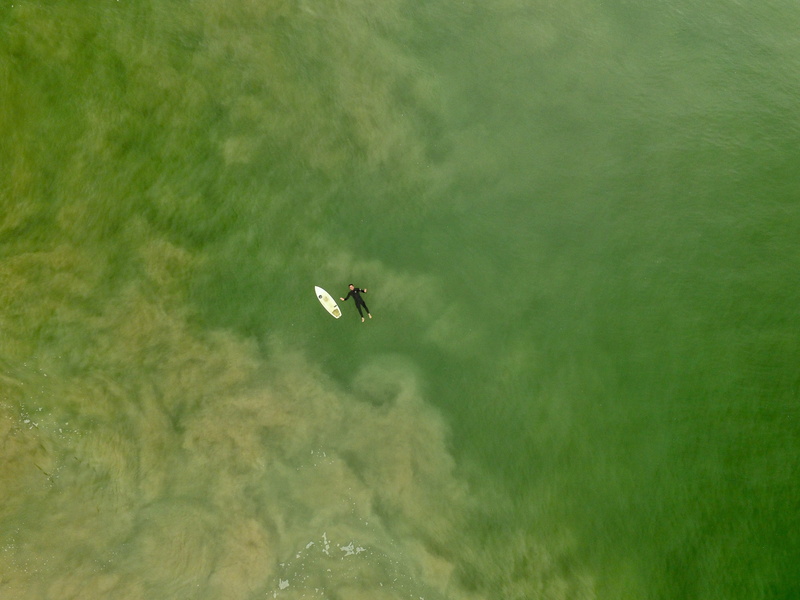 salt, transportation, beauty in nature, animal, floating, aerial view, land, splash, water, surfboard, ocean, surfer, scenics - nature, green color, sea