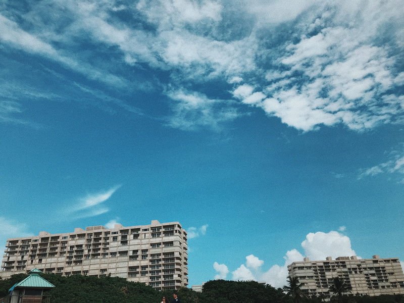 nature, tree, wispy, outdoors, florida, hotels, city life, united states, building, sand, office building exterior, sky, east coast, day, no people, boca raton
