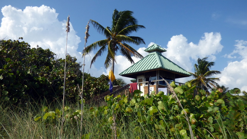 palm tree, tourism, florida, usa, beach, lifeguard house, 1080P, boca raton