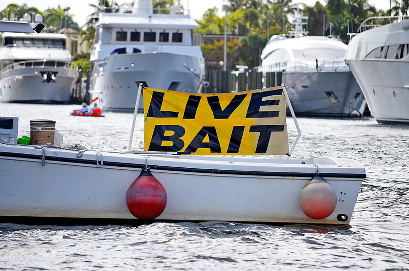 close-up, water, nautical vessel, sign, leisure, recreation, intracoastal, inlet, waterway, western script, fishing, boat, day, outdoors, moored, bait