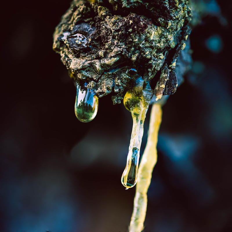 dripping, animal, icicle, animal themes, black background, creativity, old, close-up, textured effect, rusty, united states, sap, 2K, texture, boca raton