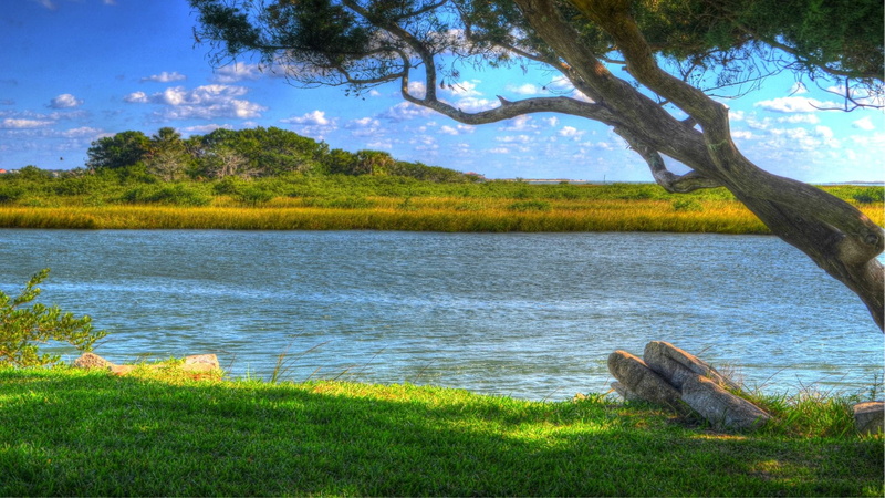 River, tranquility, lake, Tree, outdoors, nature, tree trunk, beach, island, intracoastal, green color, land, scenics - nature, tranquil scene, 1080P