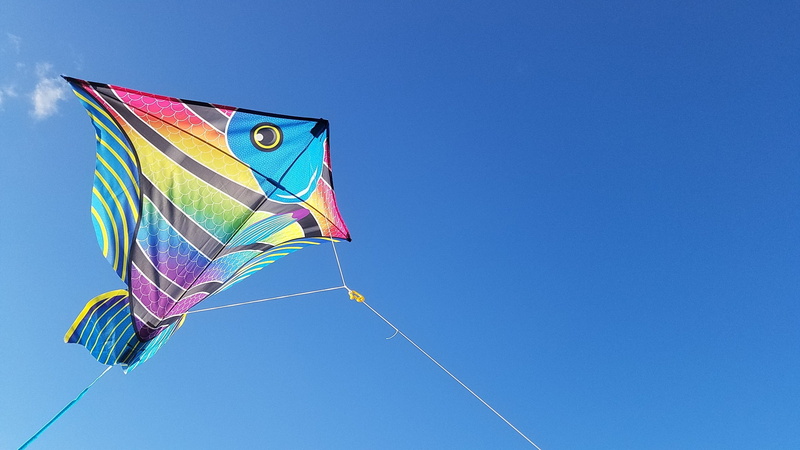 wind, summer, 2K, no people, flag, blue, striped, day, kite, outdoors, nature, environment, motion, freedom, jacksonville, kite surfing, fish, copy space